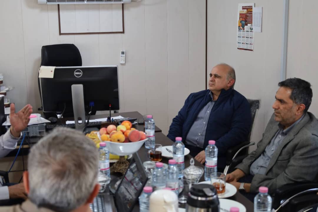CEO of NIPeC visits Shahr Babak Complex Hotel Project (4)